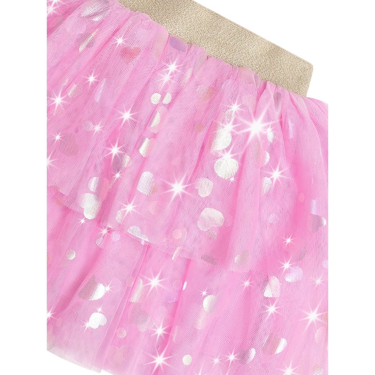 Party Hearts Tiered Tulle Skirt