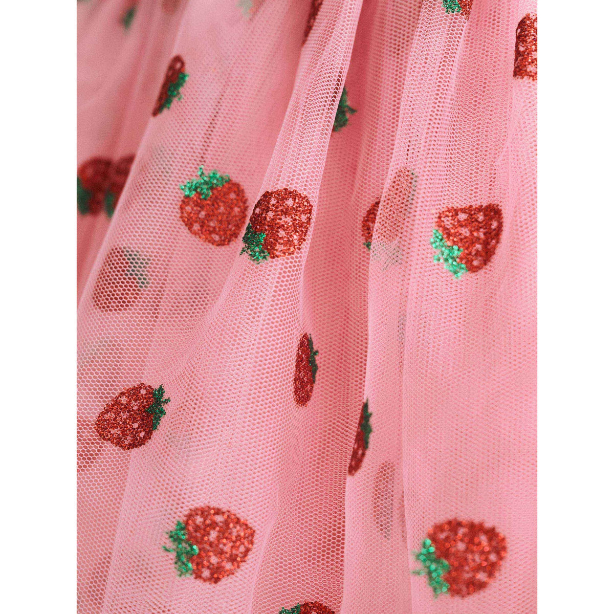 Strawberry Emb S/Slv Tulle Dress
