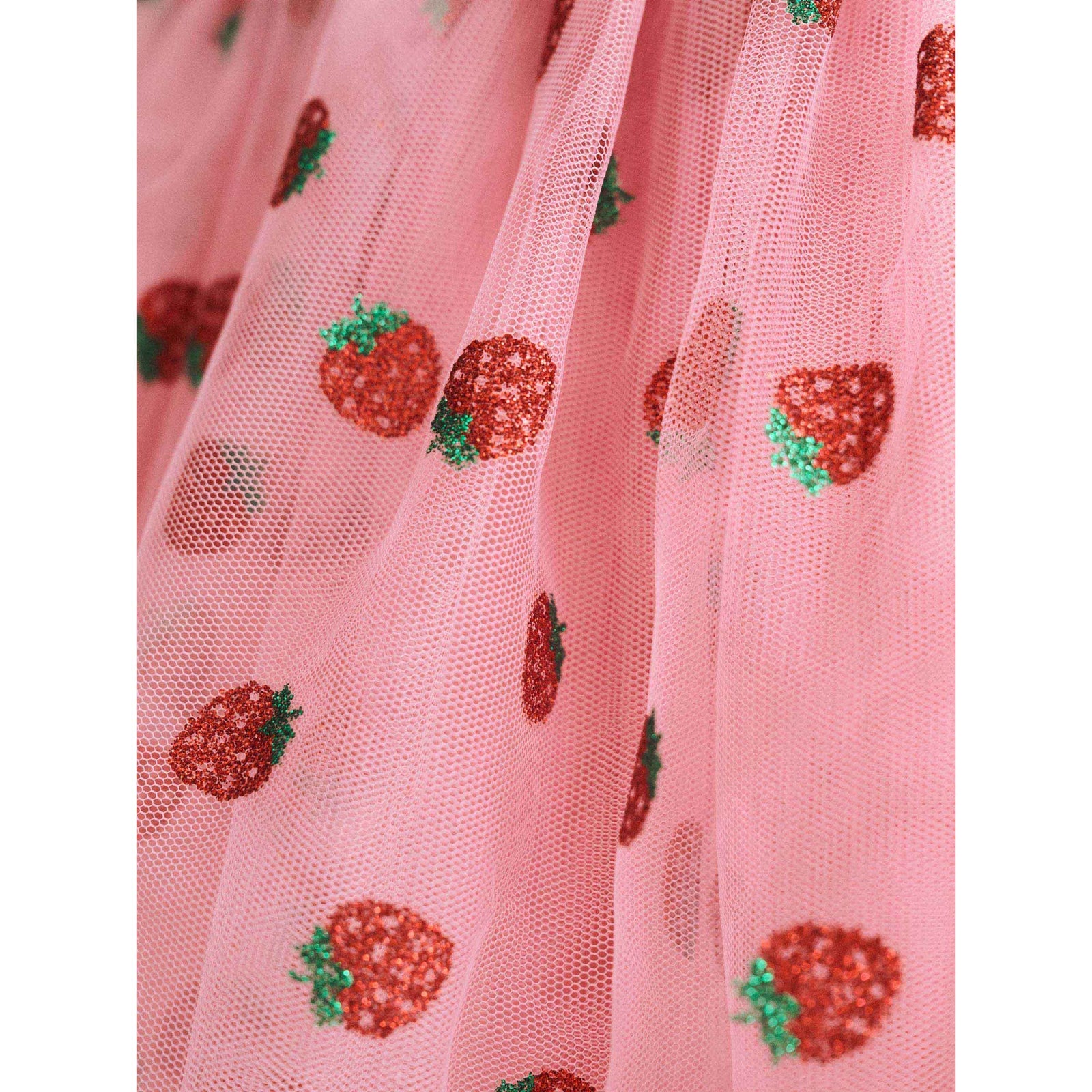 Strawberry Emb S/Slv Tulle Dress