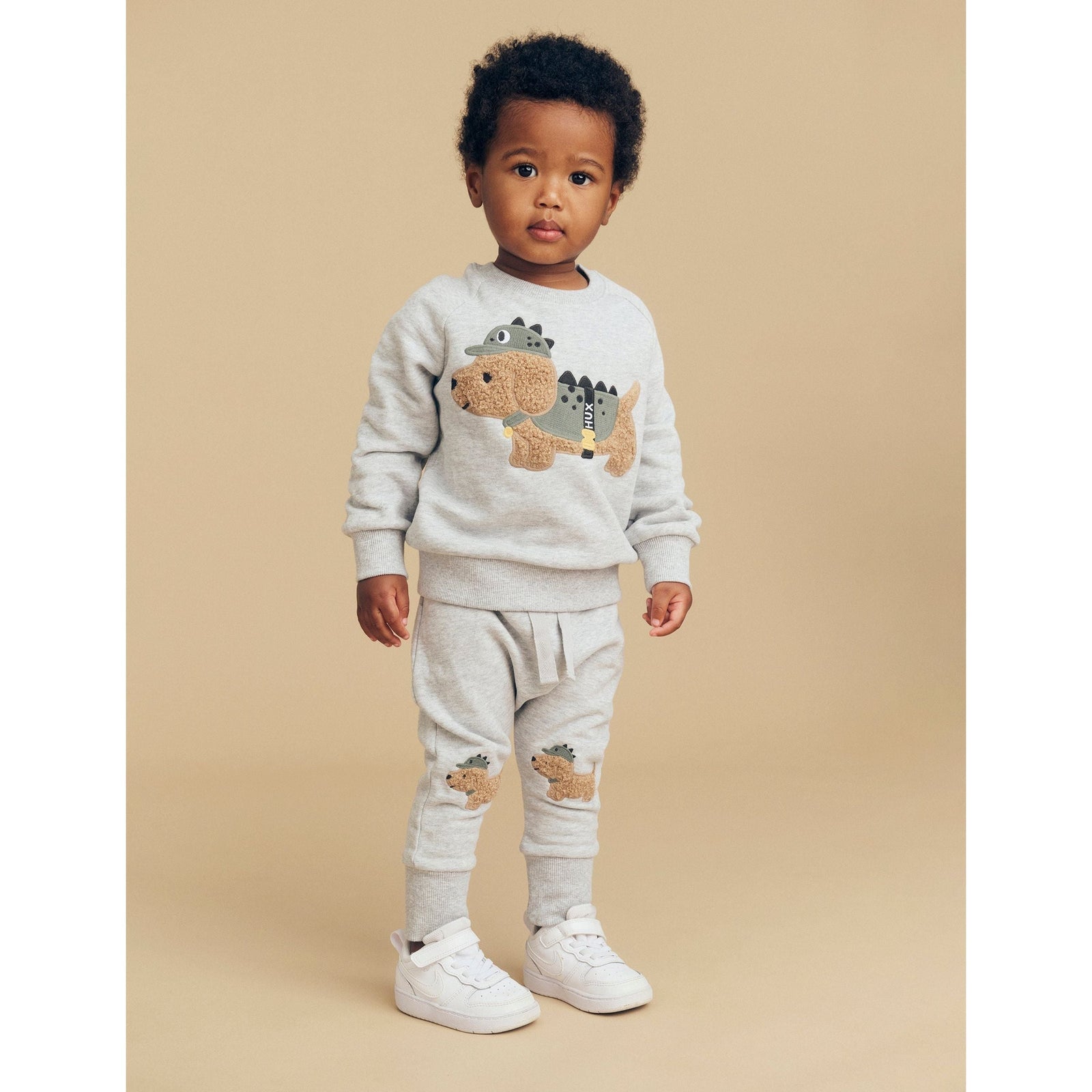 Dino Dog Sweatshirt Grey Marle