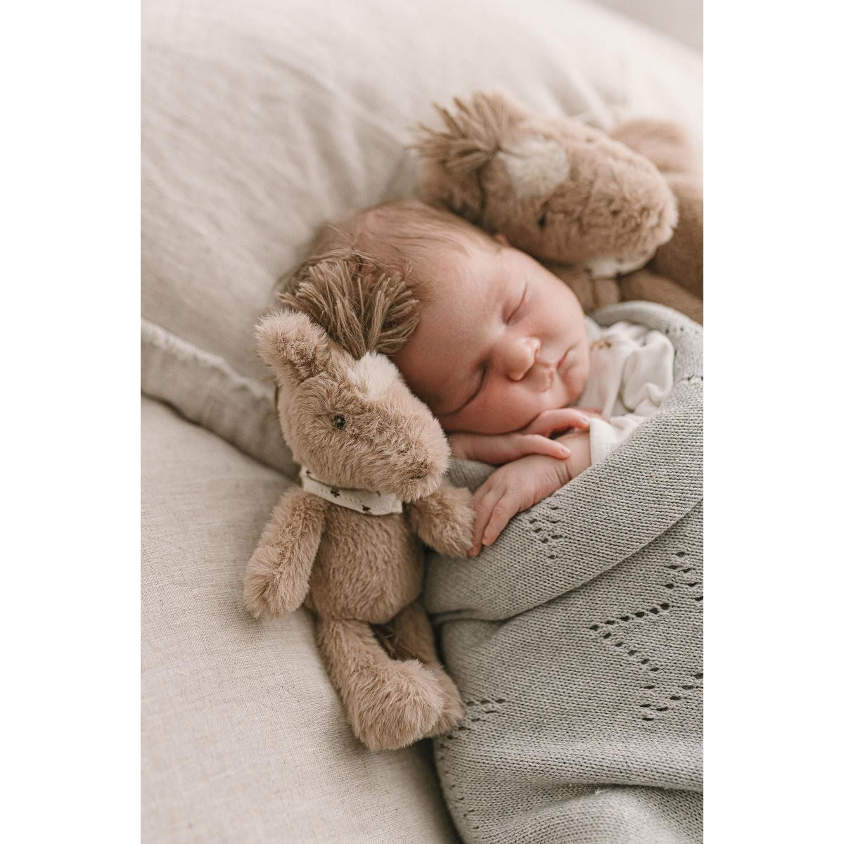 Harvey the Horse Rattle