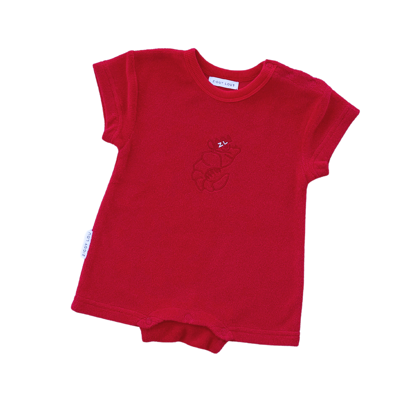 Babies Age 12 Months