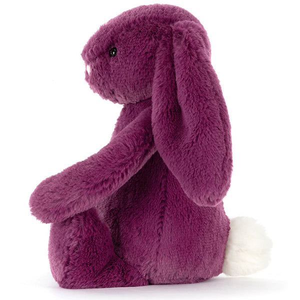 Bashful Bunny Assortment Allium
