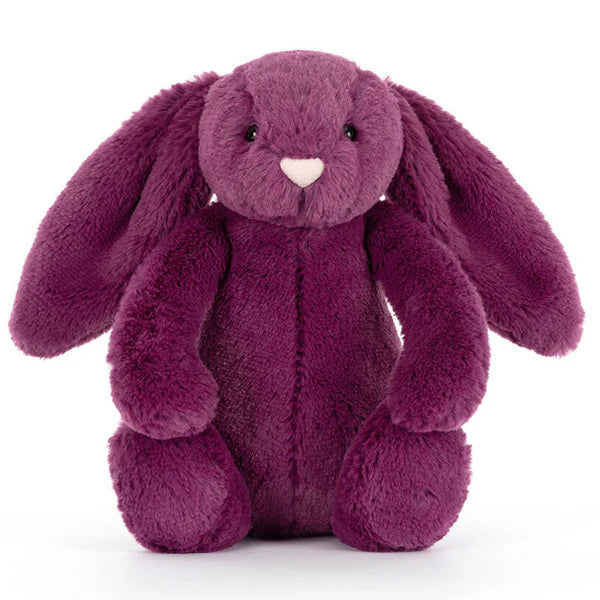 Bashful Bunny Assortment Allium