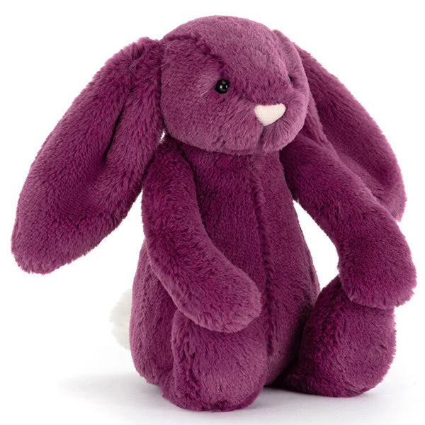 Bashful Bunny Assortment Allium