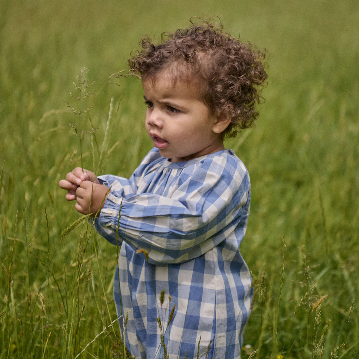 Meadow Bodysuit Gingham - Bluebelle Check