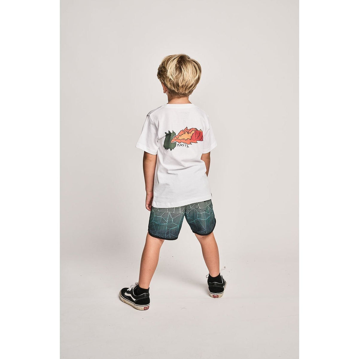 Wavebuoys Bshort - Teal Stripe