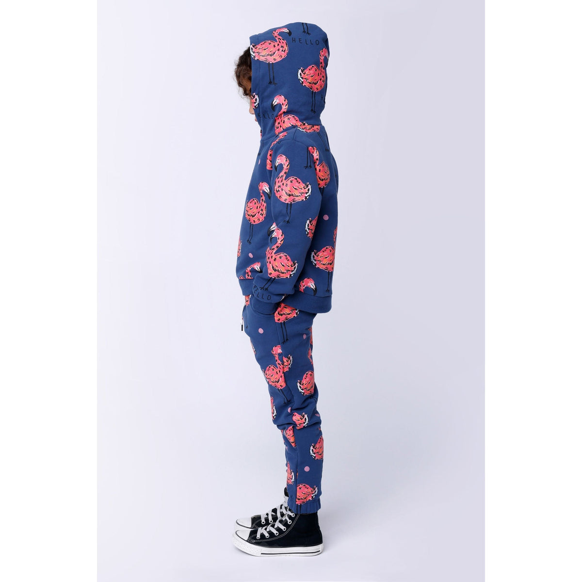 Flamingo Party Furry Hood