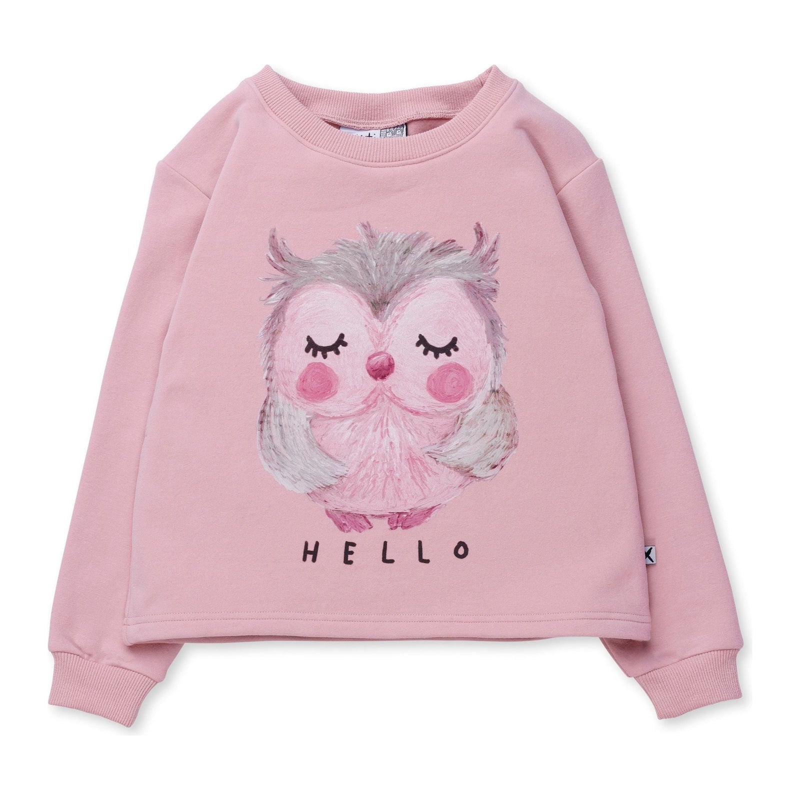 Painted Owl Furry Crew