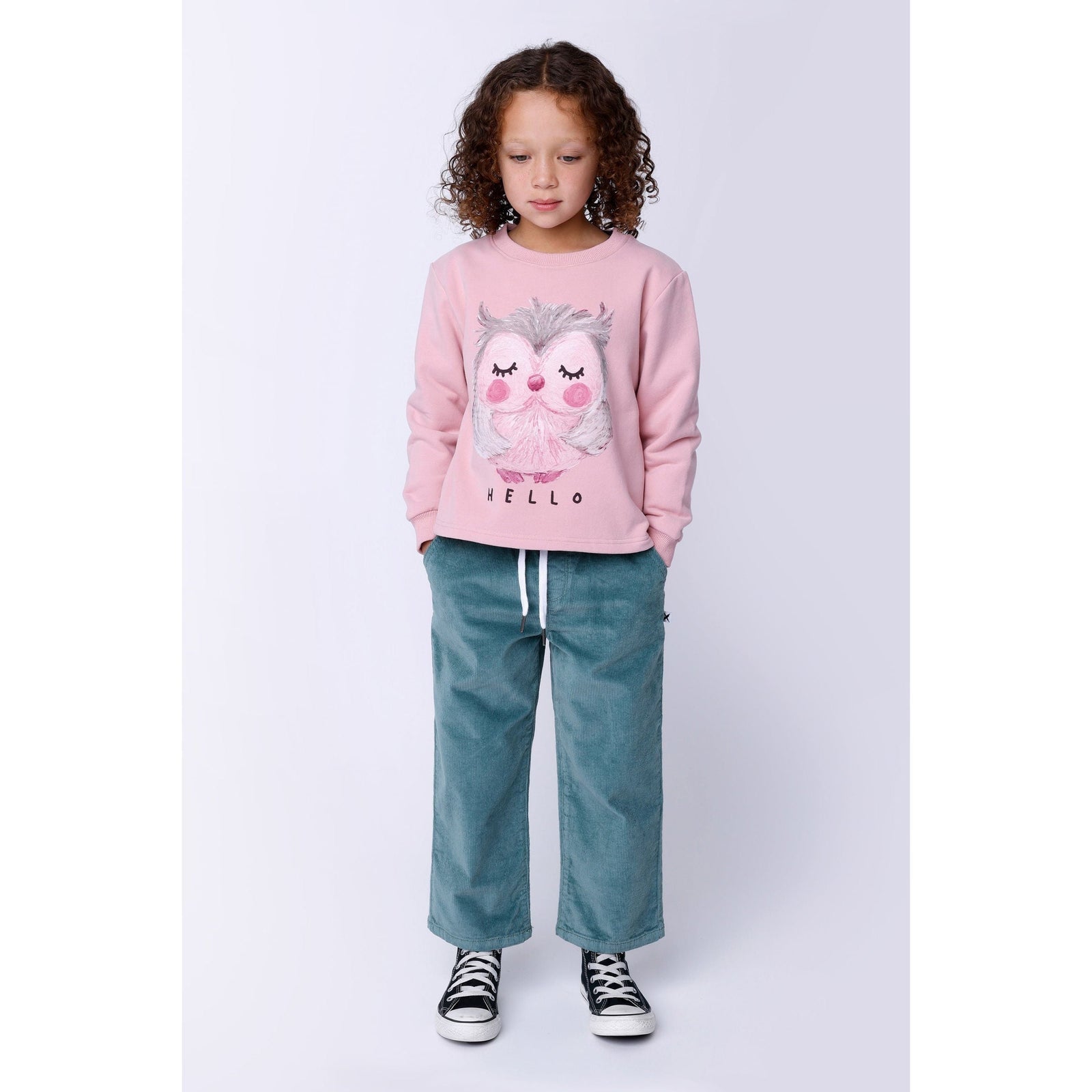 Painted Owl Furry Crew