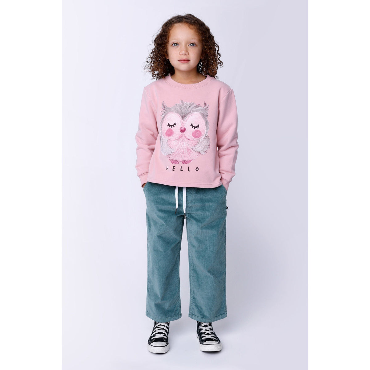 Painted Owl Furry Crew