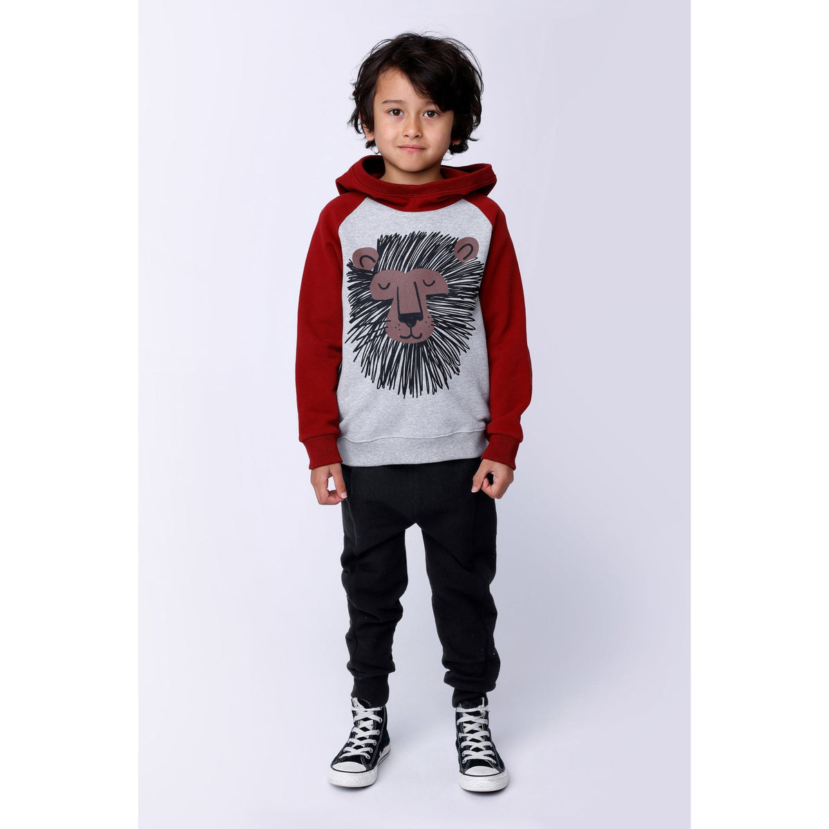 Wild Lion Furry Hood