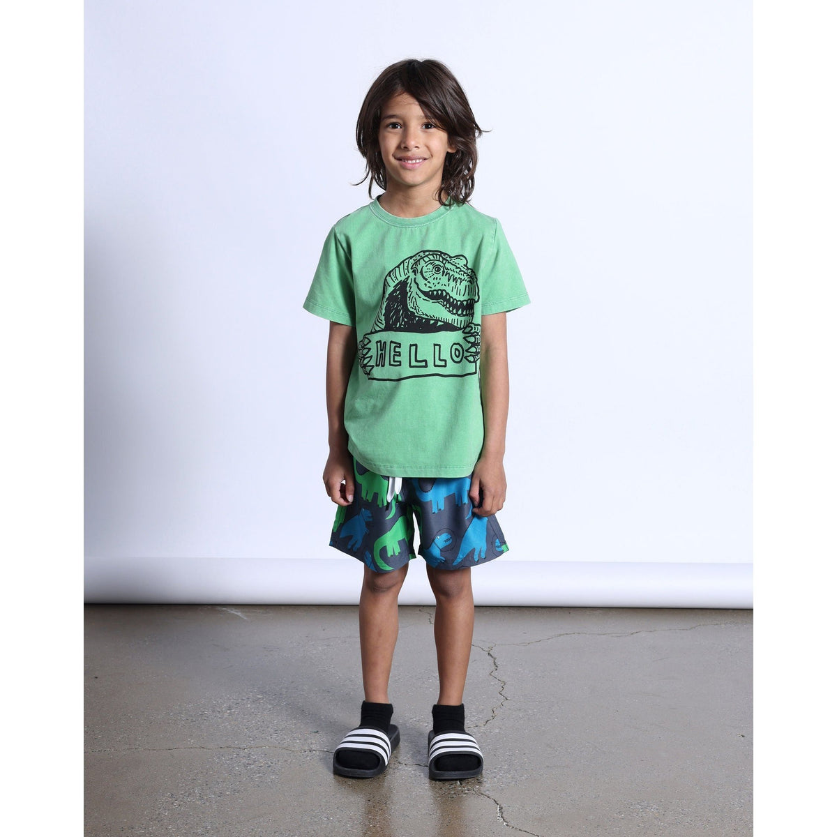 Space Dinos Boardies- Dark Grey