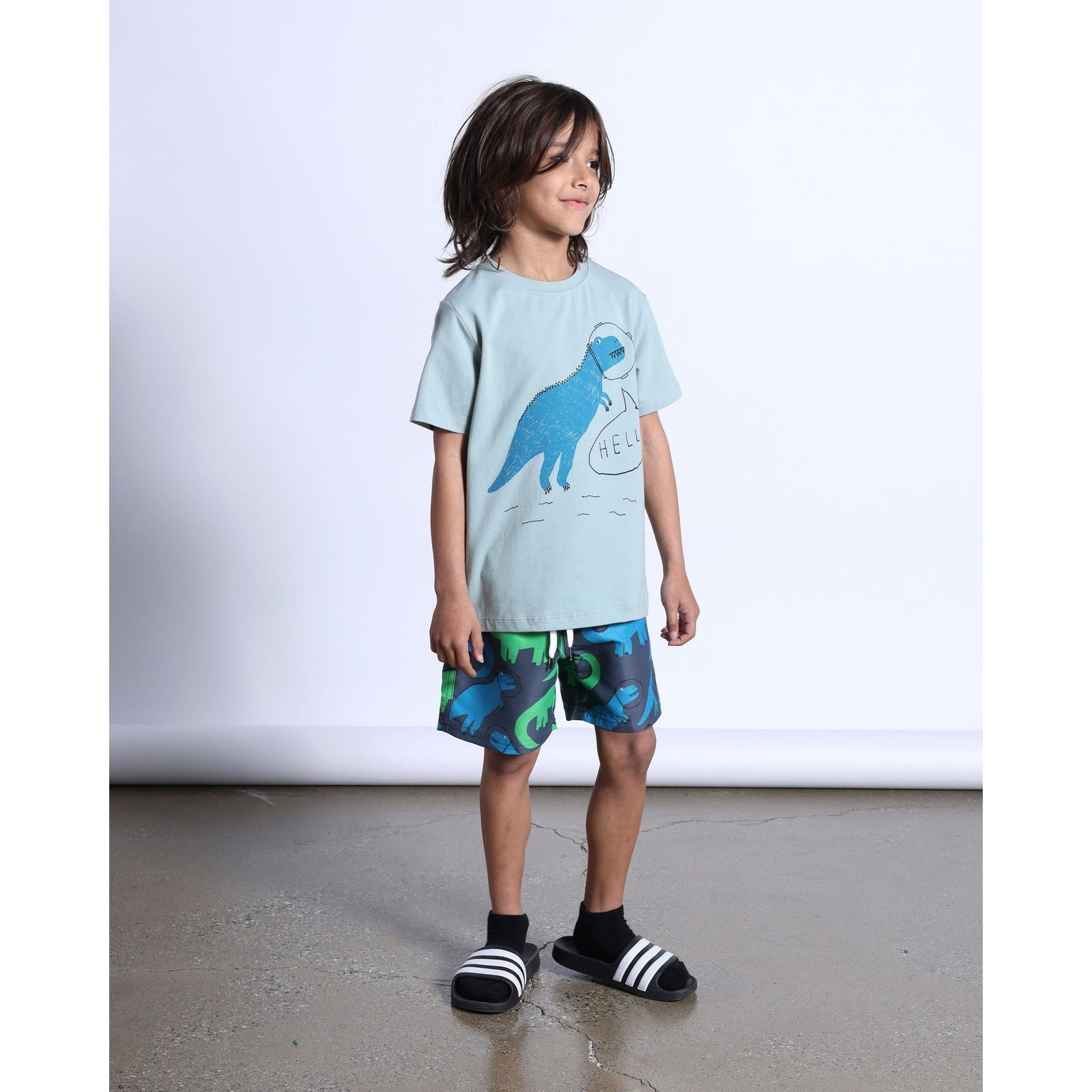 Space Dinos Tee- Sage