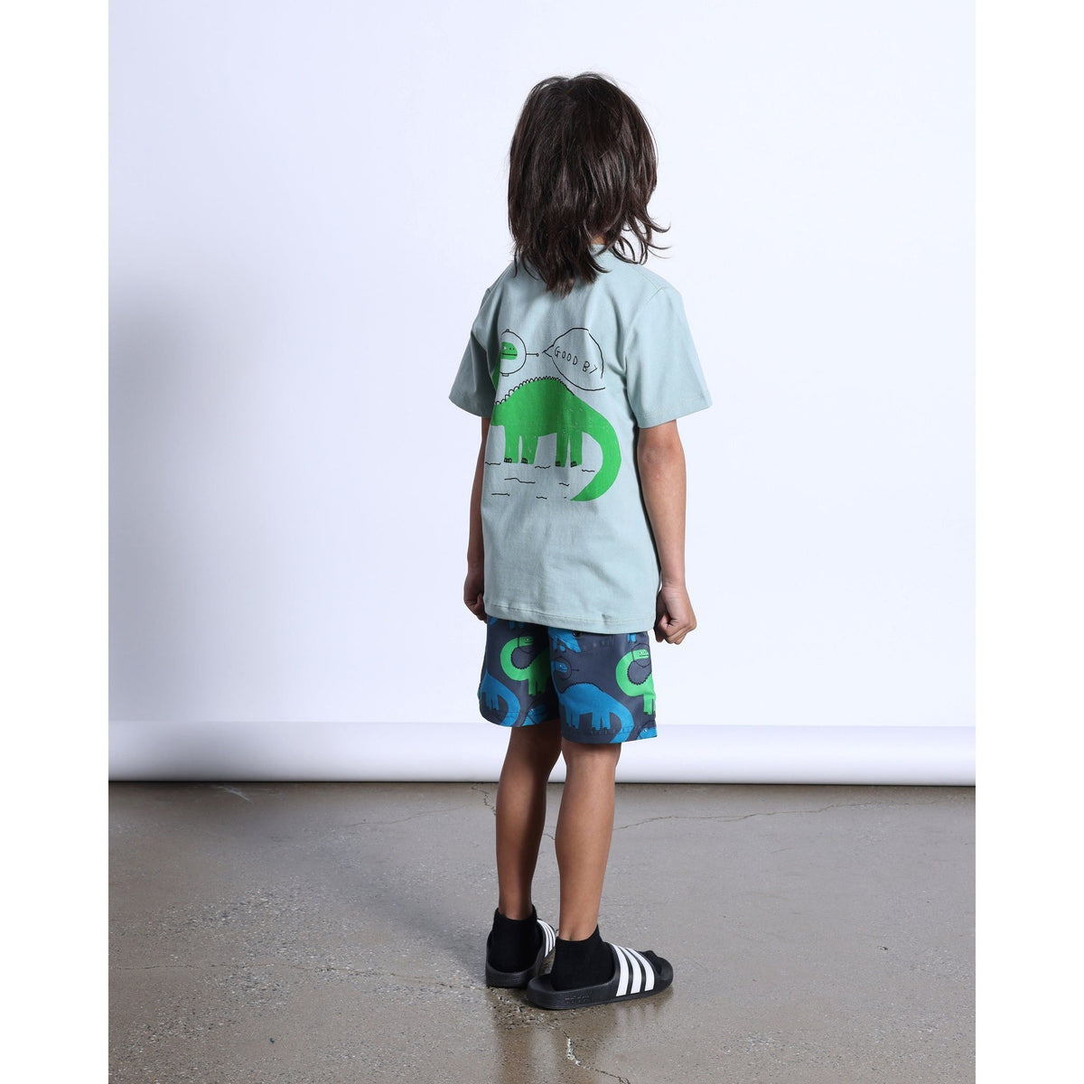 Space Dinos Tee- Sage