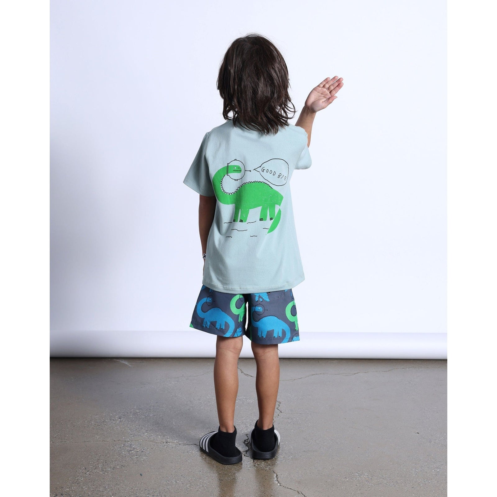 Space Dinos Tee- Sage