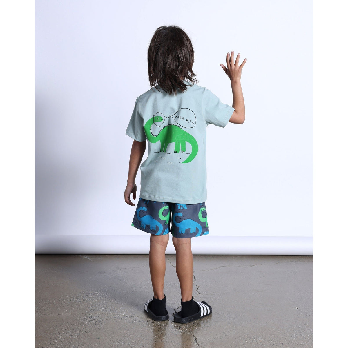 Space Dinos Tee- Sage
