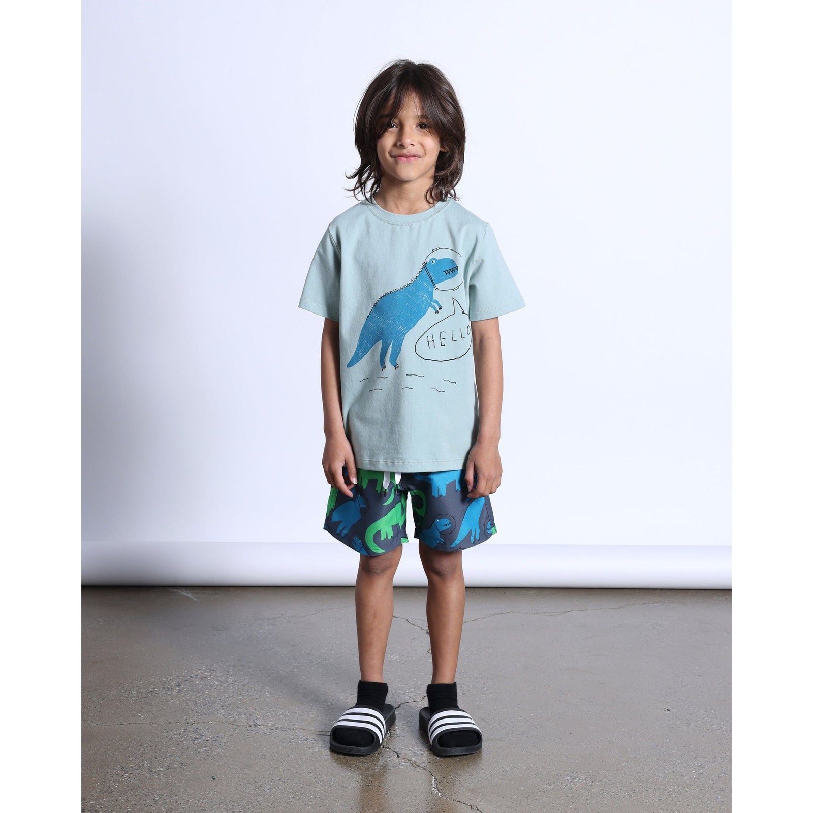Space Dinos Tee- Sage