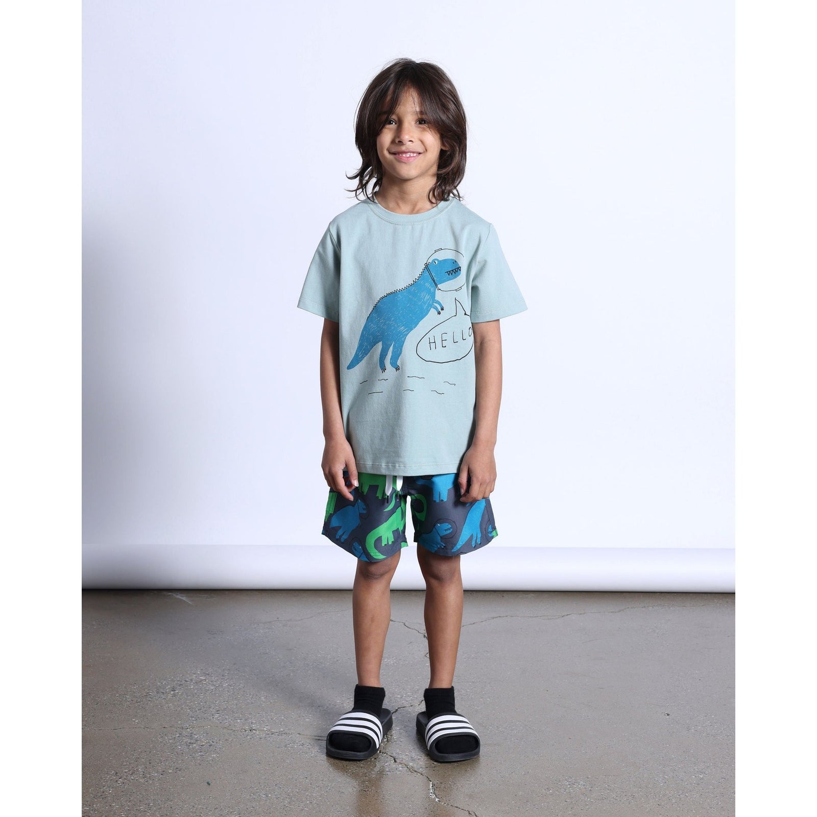Space Dinos Tee- Sage