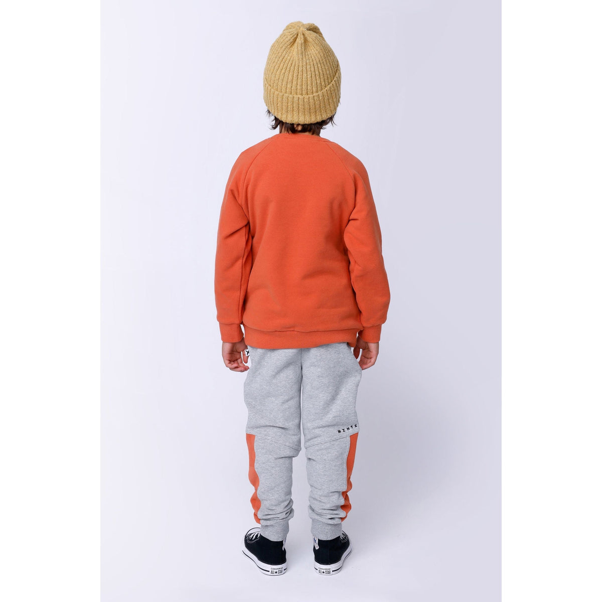 Biking Pineapple Furry Crew