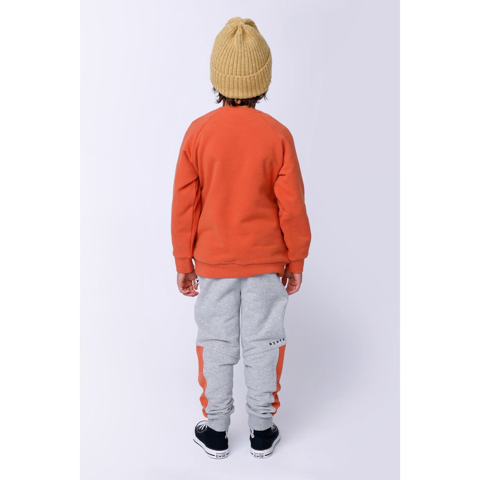 Biking Pineapple Furry Crew