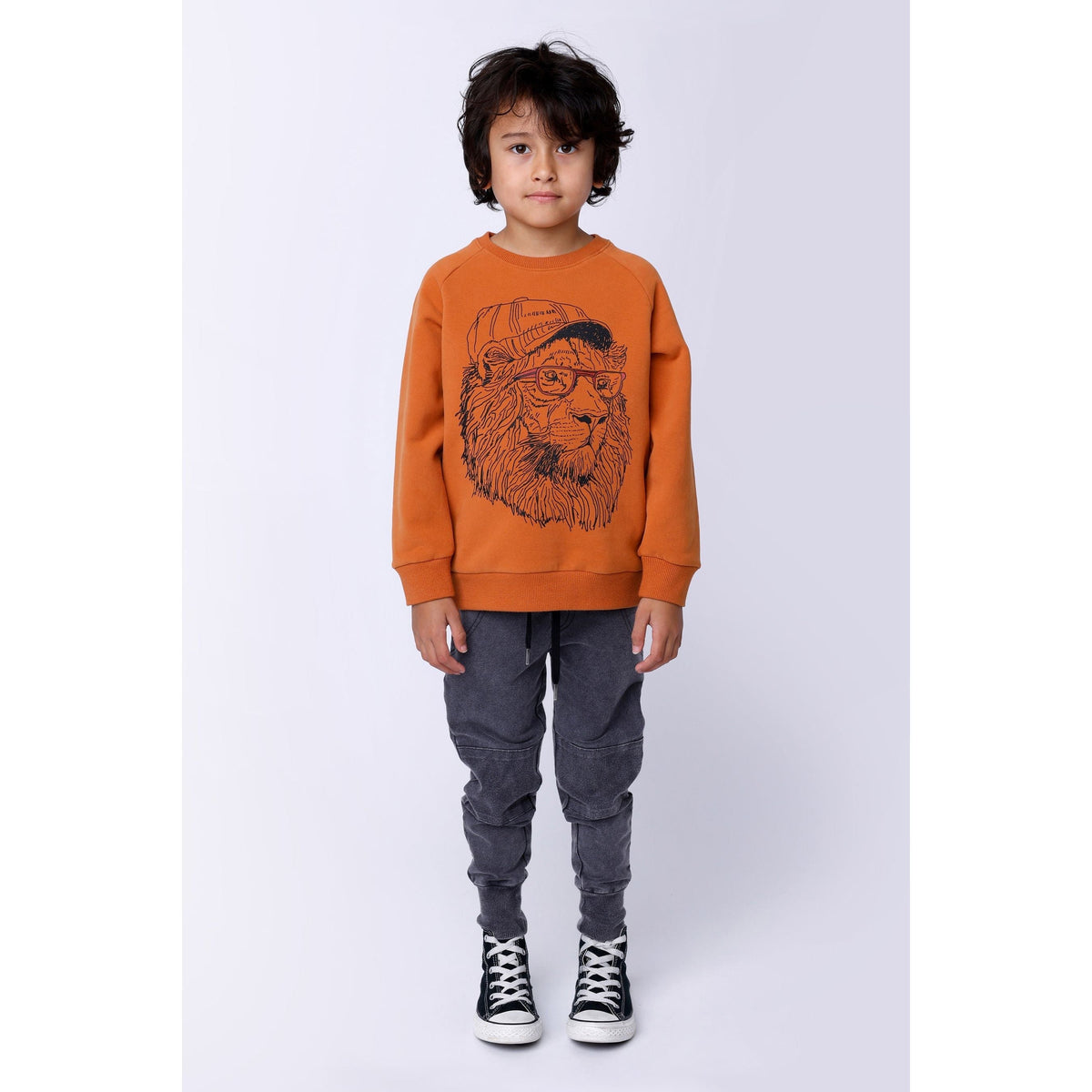 Cool Lion Furry Crew