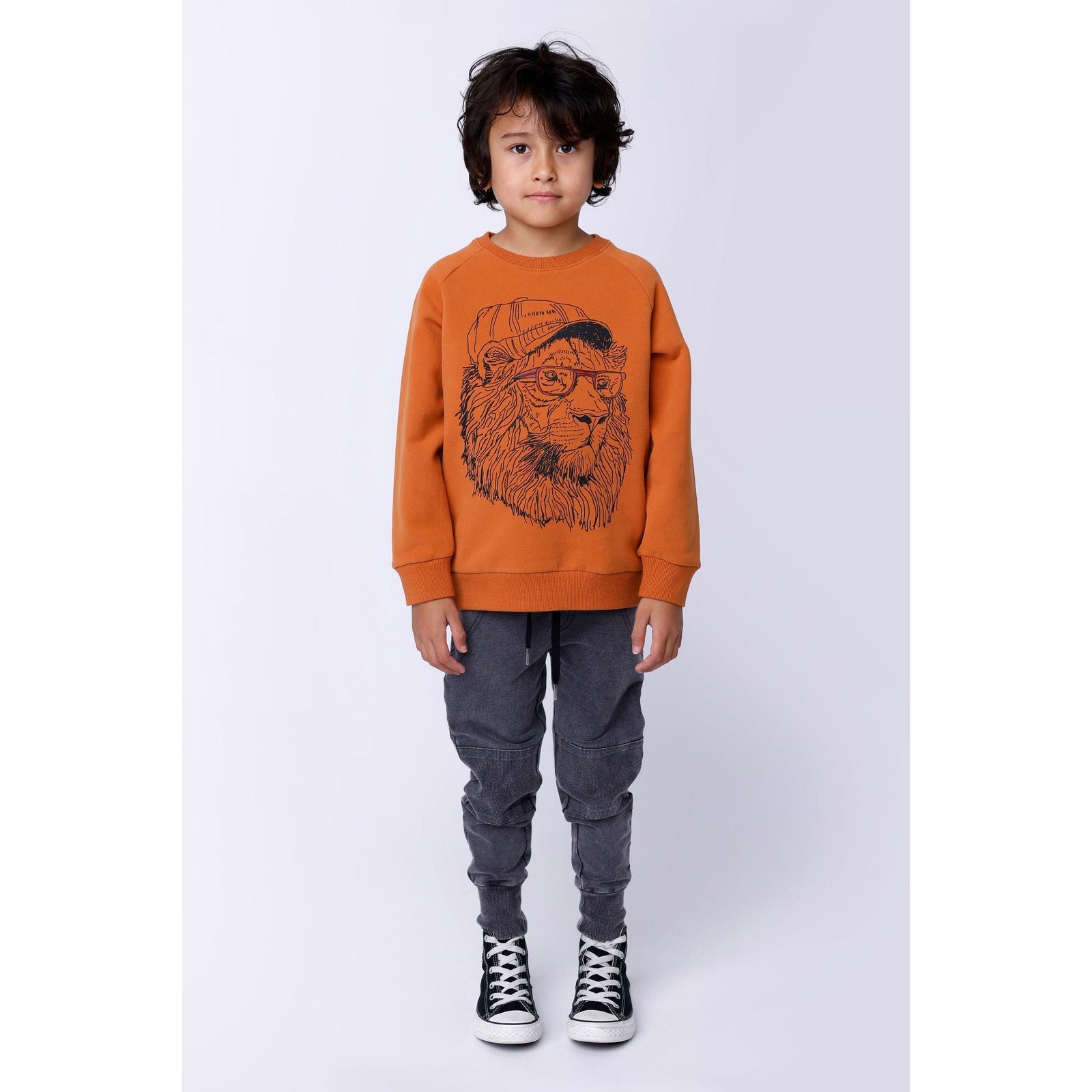 Cool Lion Furry Crew