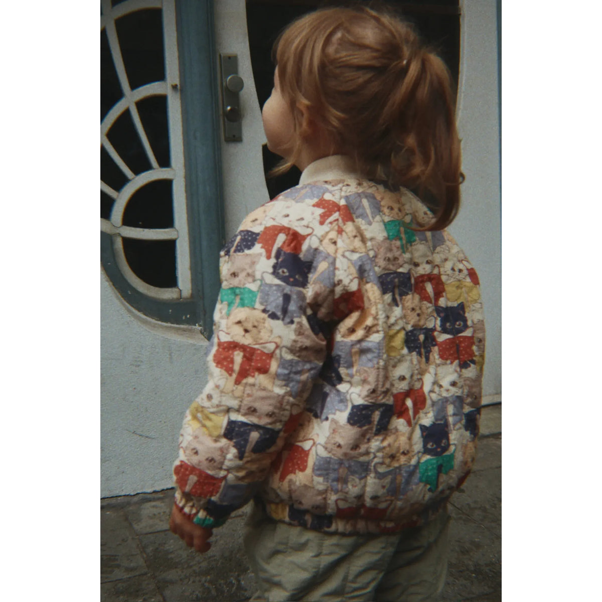 Juno Printed Bomber Jacket - Like Cats and Dogs