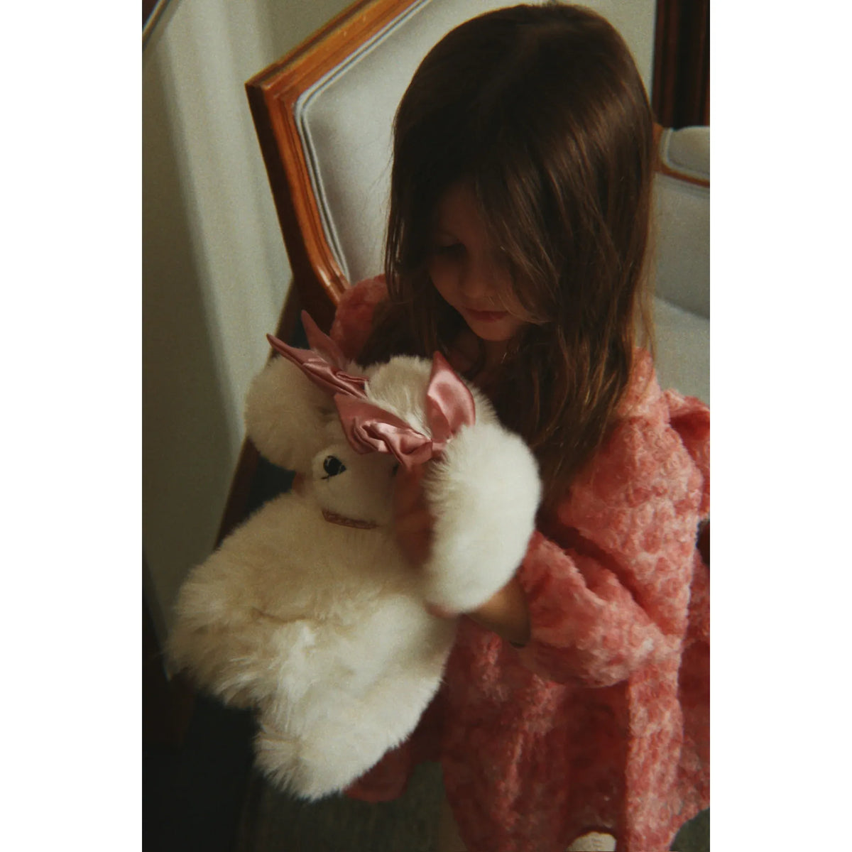 Spitz Puppy - Beige