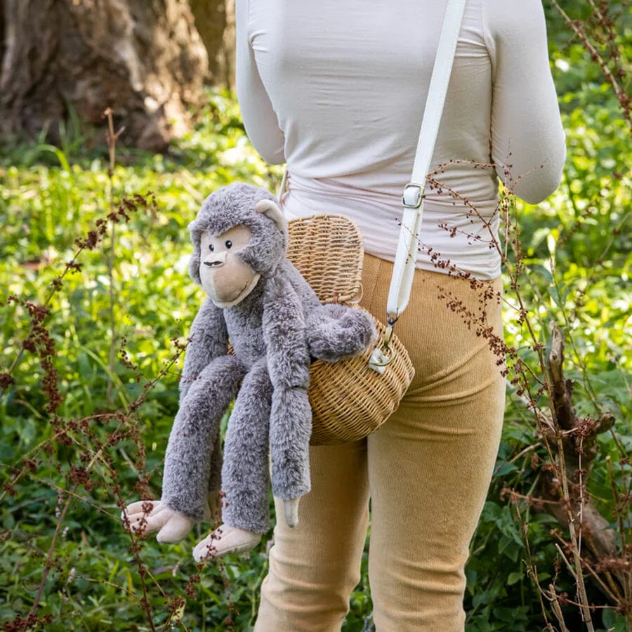 Mani the Monkey