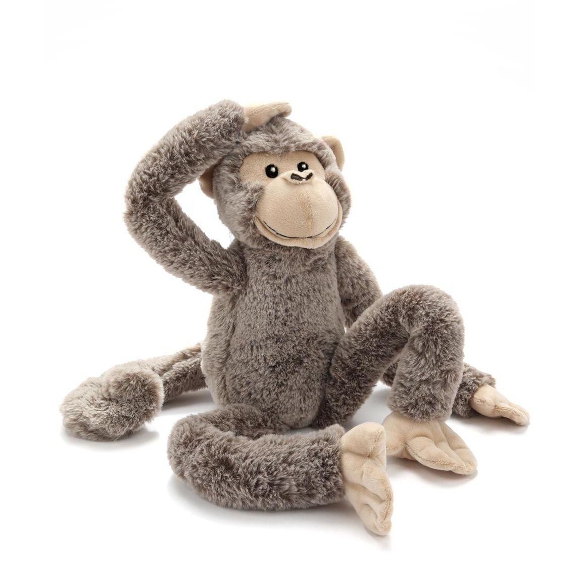 Mani the Monkey