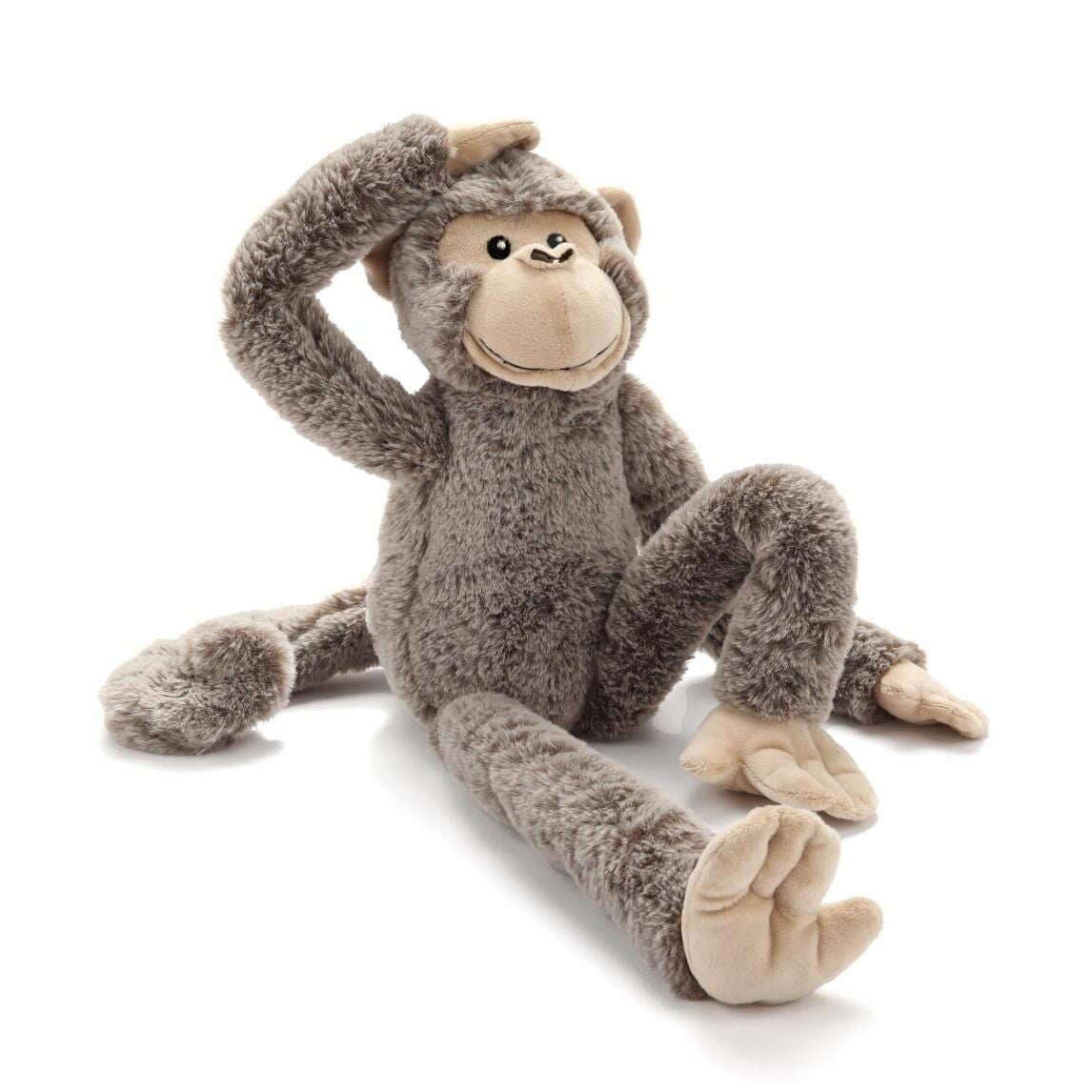 Mani the Monkey