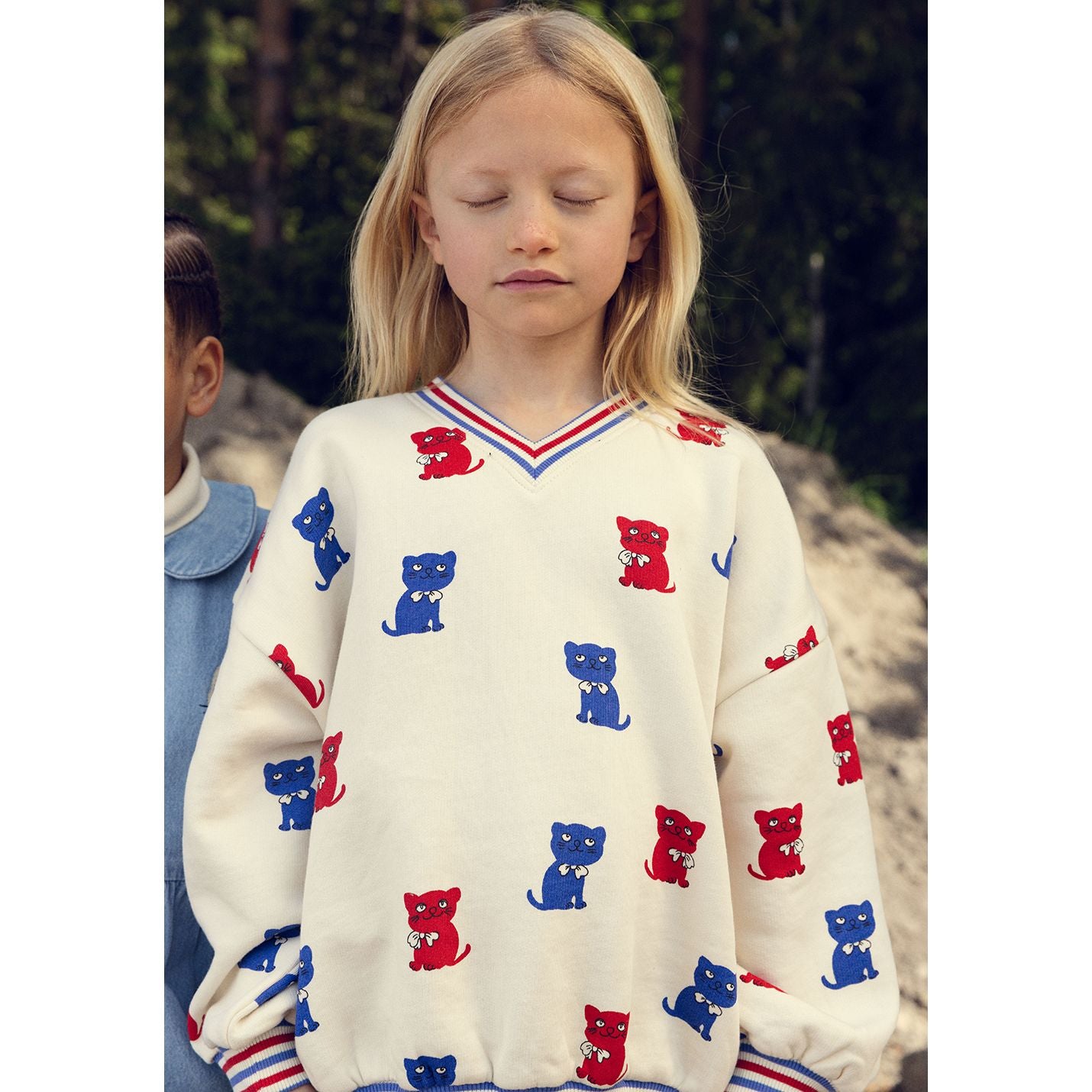 Kittens Sweatshirt