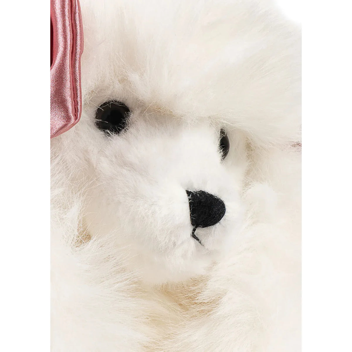 Spitz Puppy - Beige