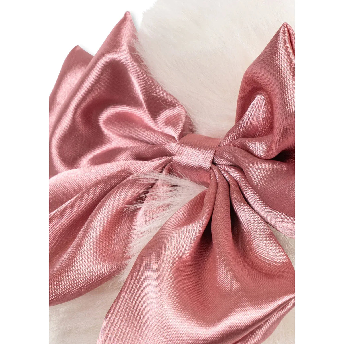 Spitz Puppy - Beige