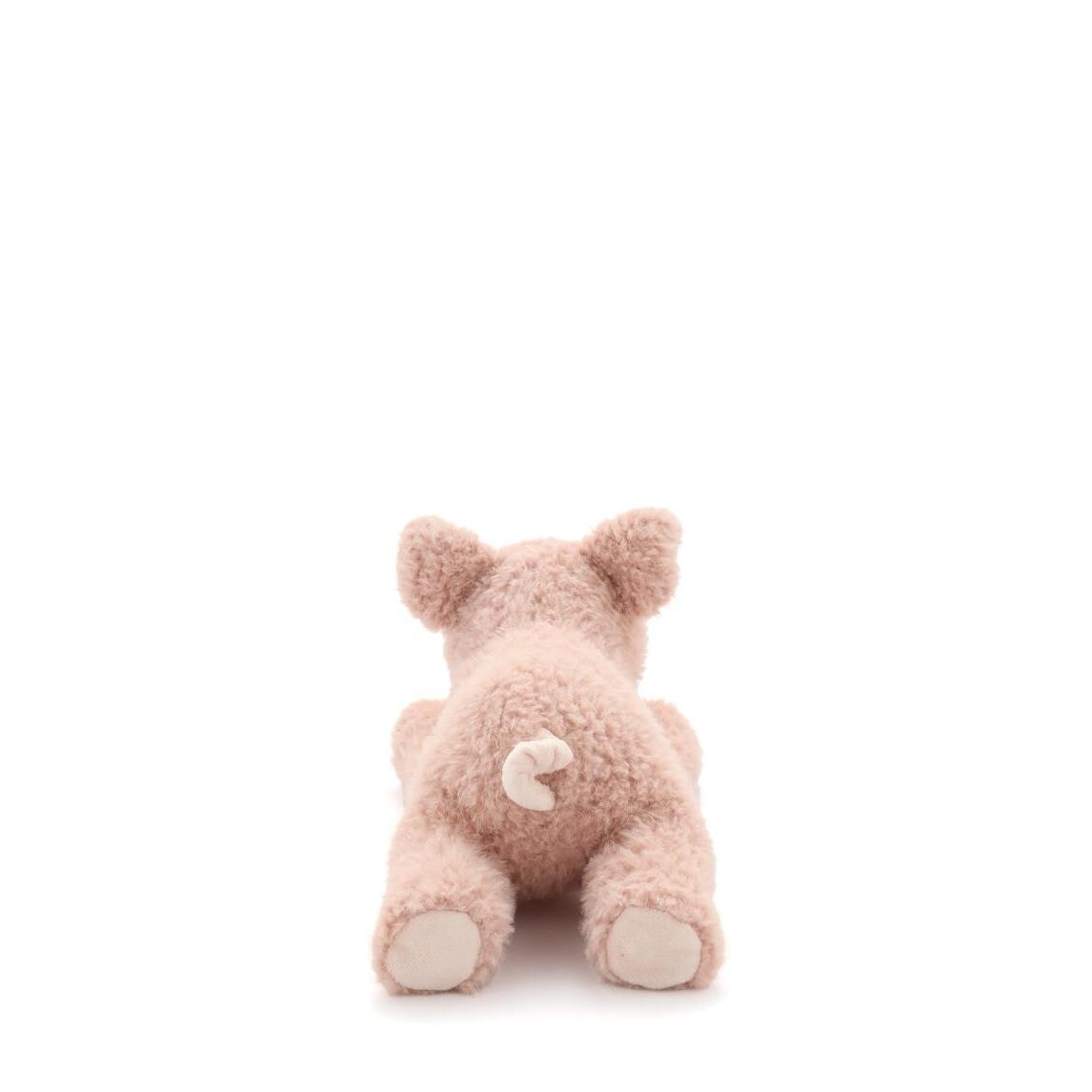 Paloma the Pig