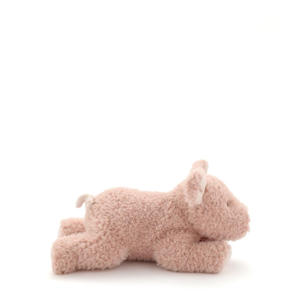 Paloma the Pig