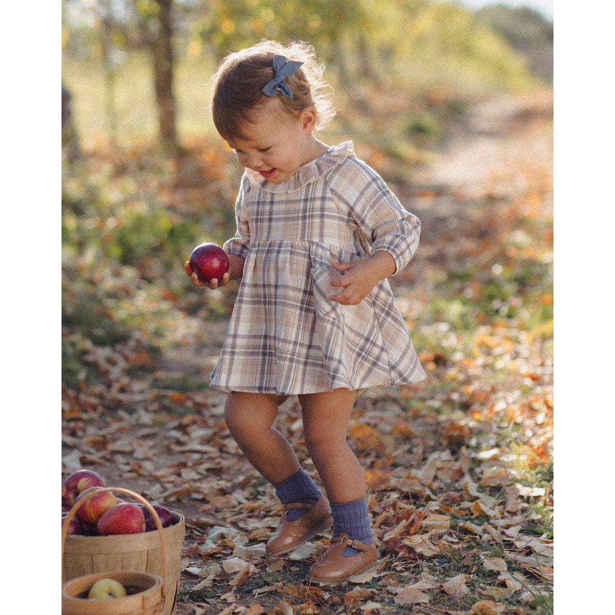 Simone Dress Fall Plaid