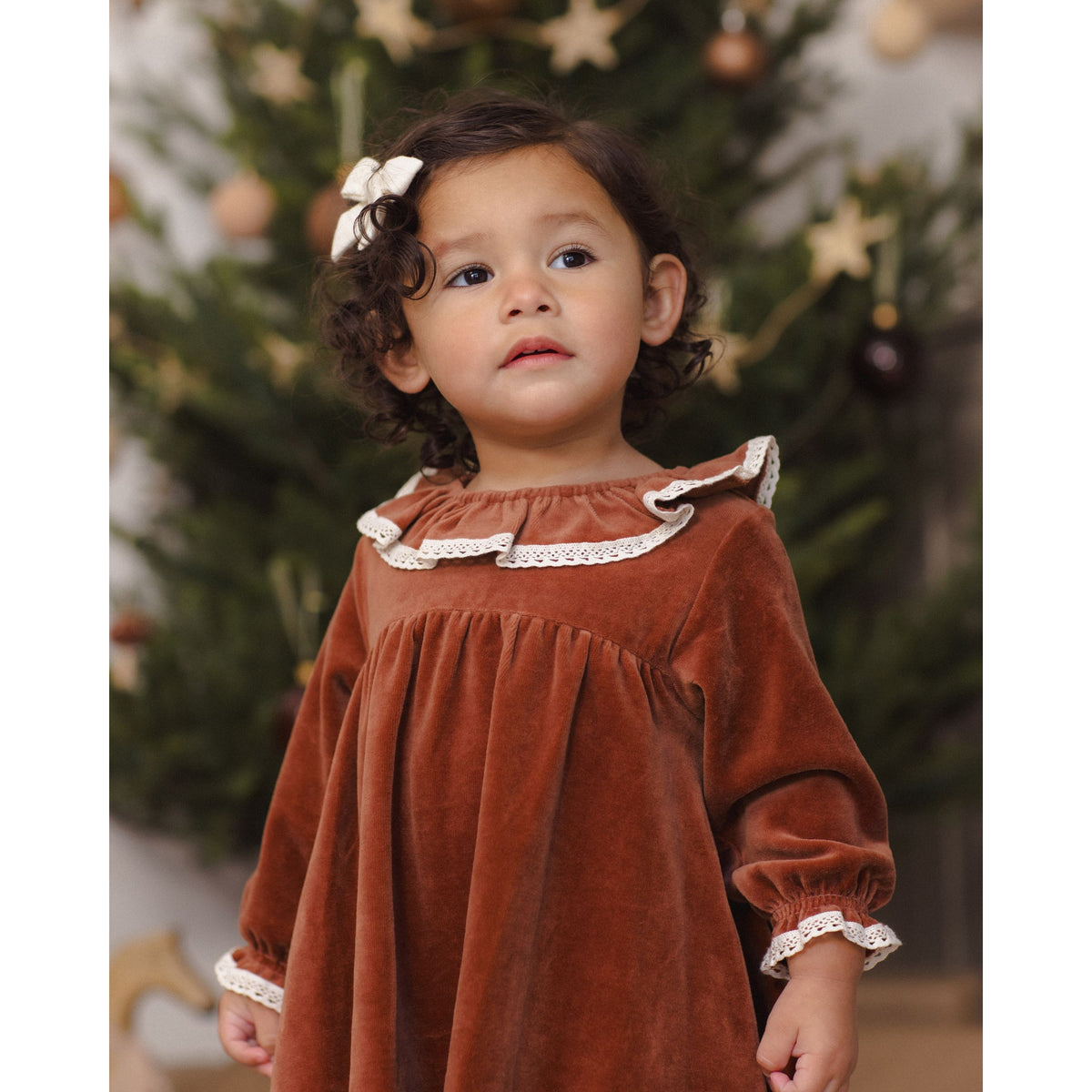 Velour Baby Dress Redwood