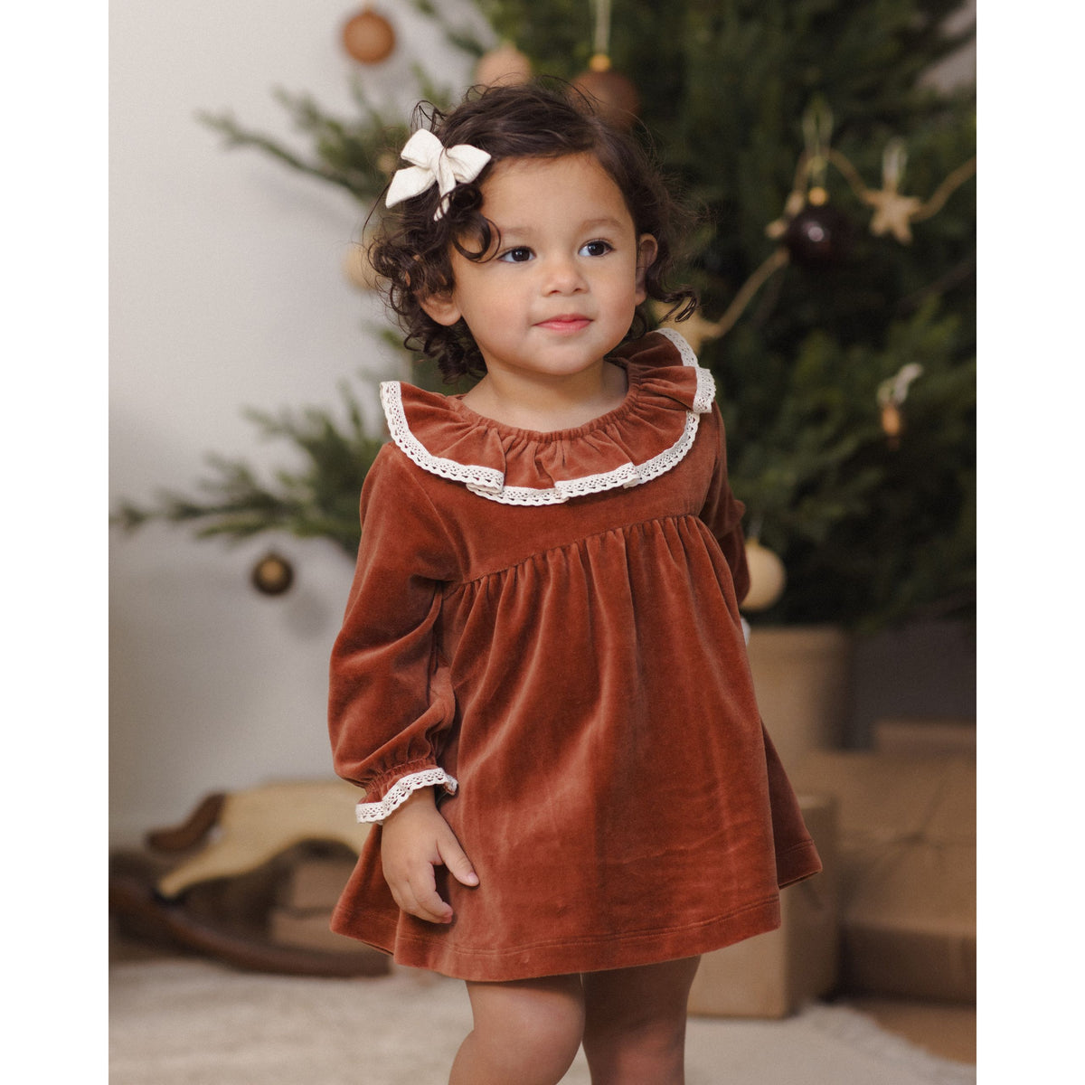 Velour Baby Dress Redwood