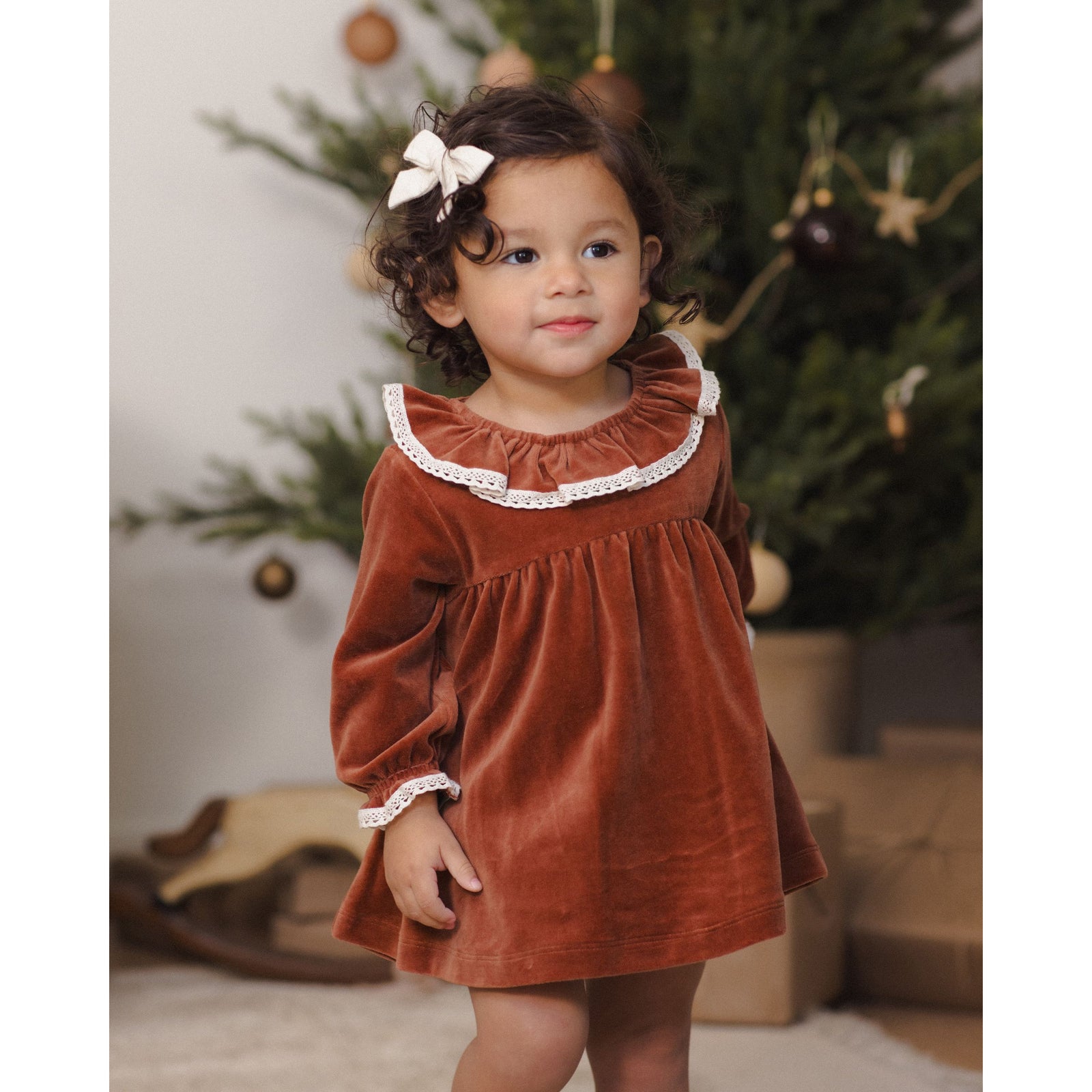 Velour Baby Dress Redwood
