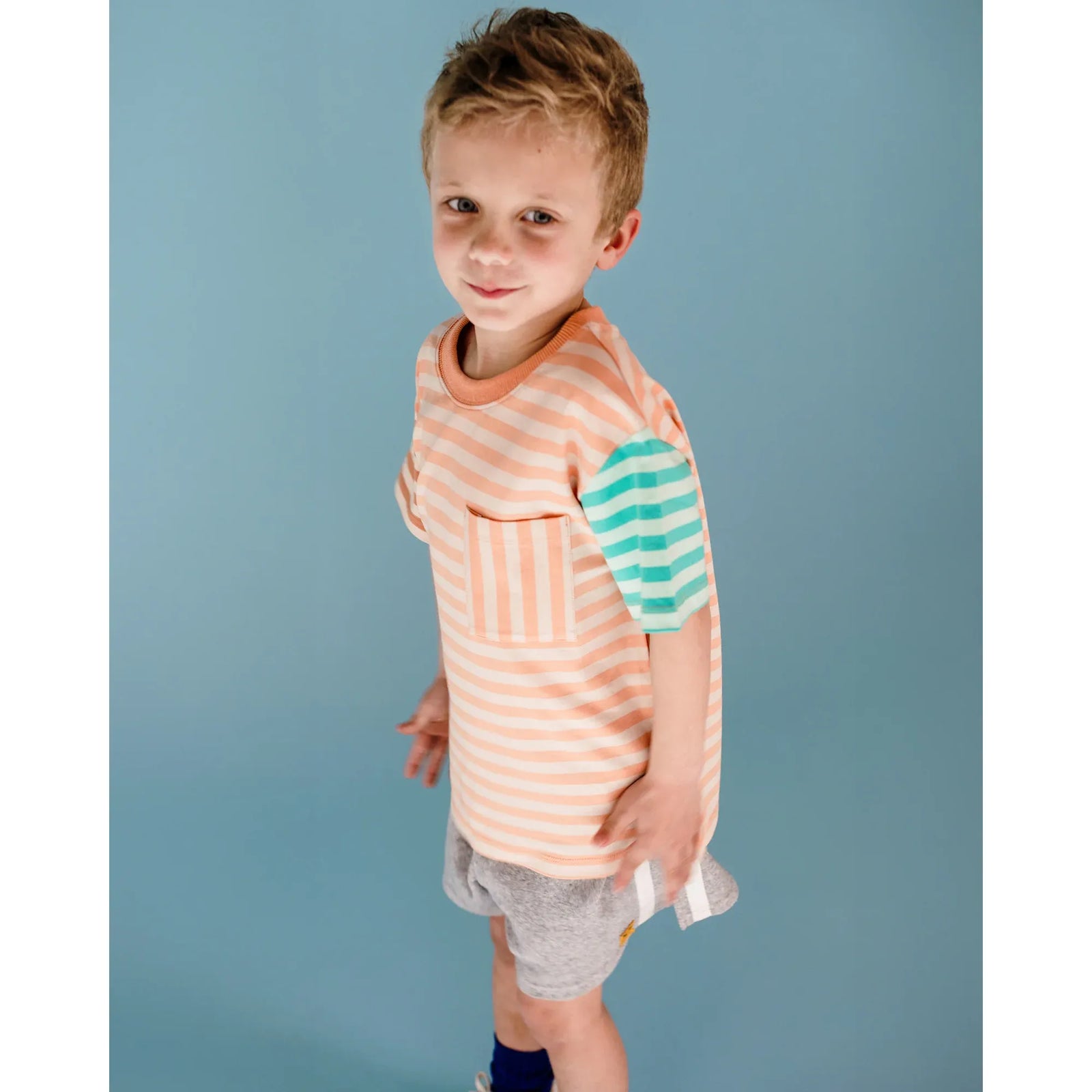 Printed Stripe Short Sleeve T-Shirt