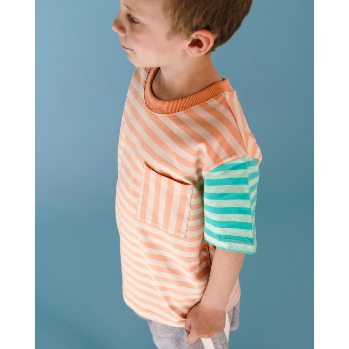 Printed Stripe Short Sleeve T-Shirt
