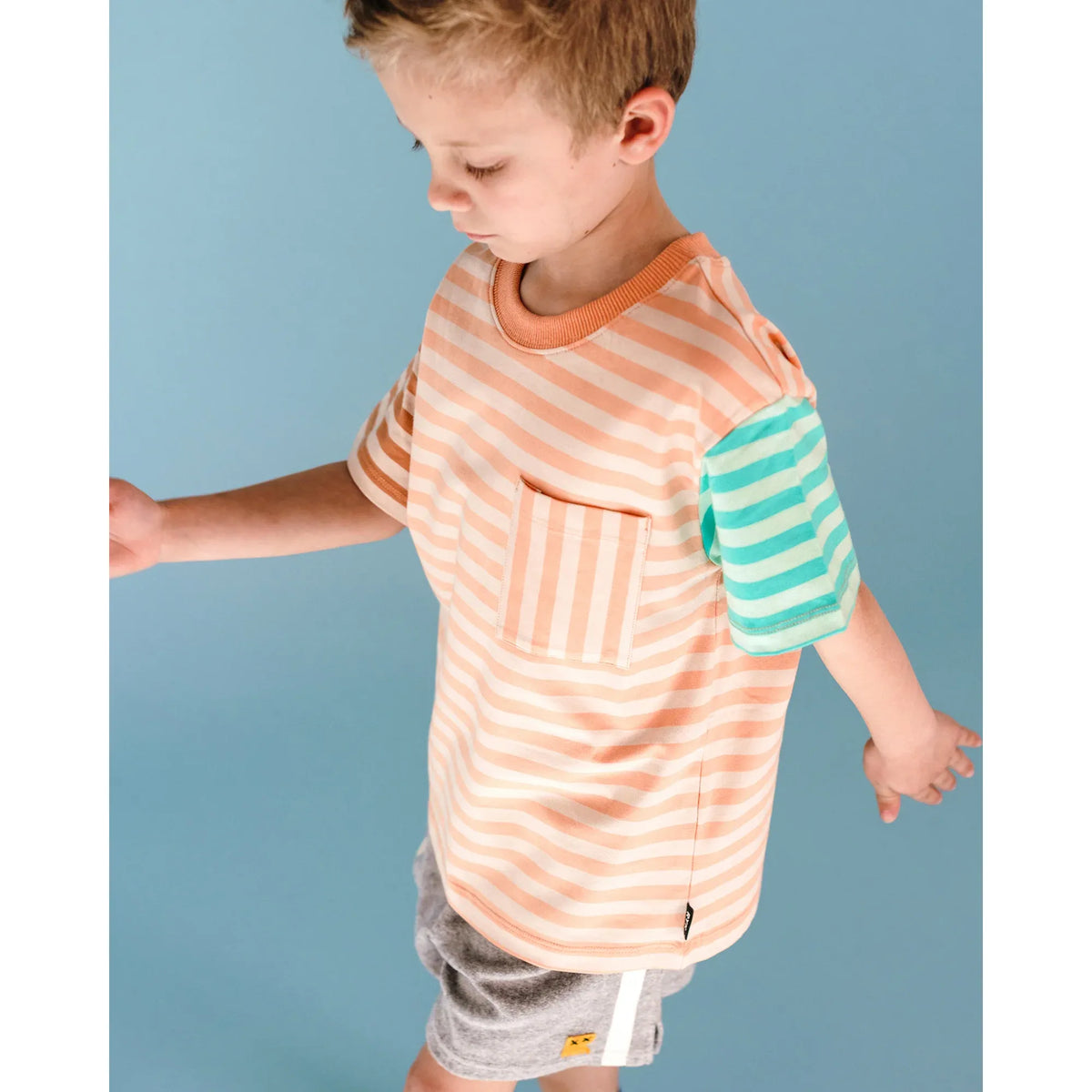 Printed Stripe Short Sleeve T-Shirt