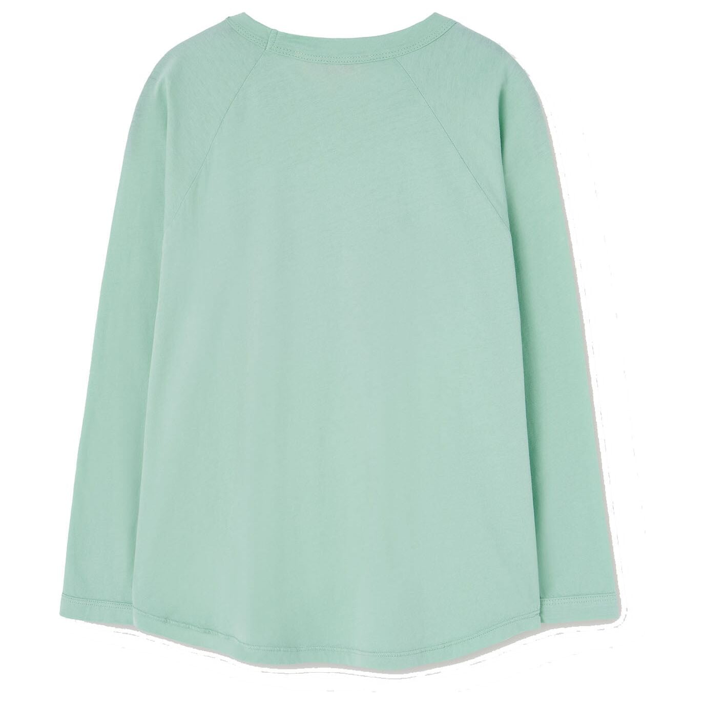 Anteater Kids T-Shirt Turquoise