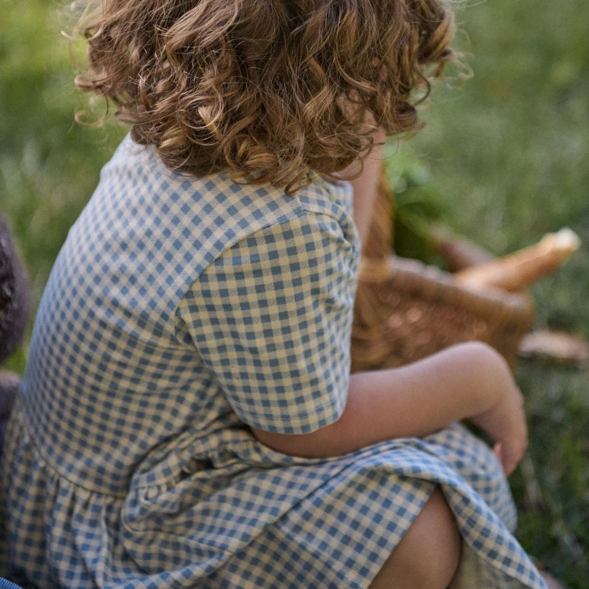 Saturday Dress - Blue Gingham
