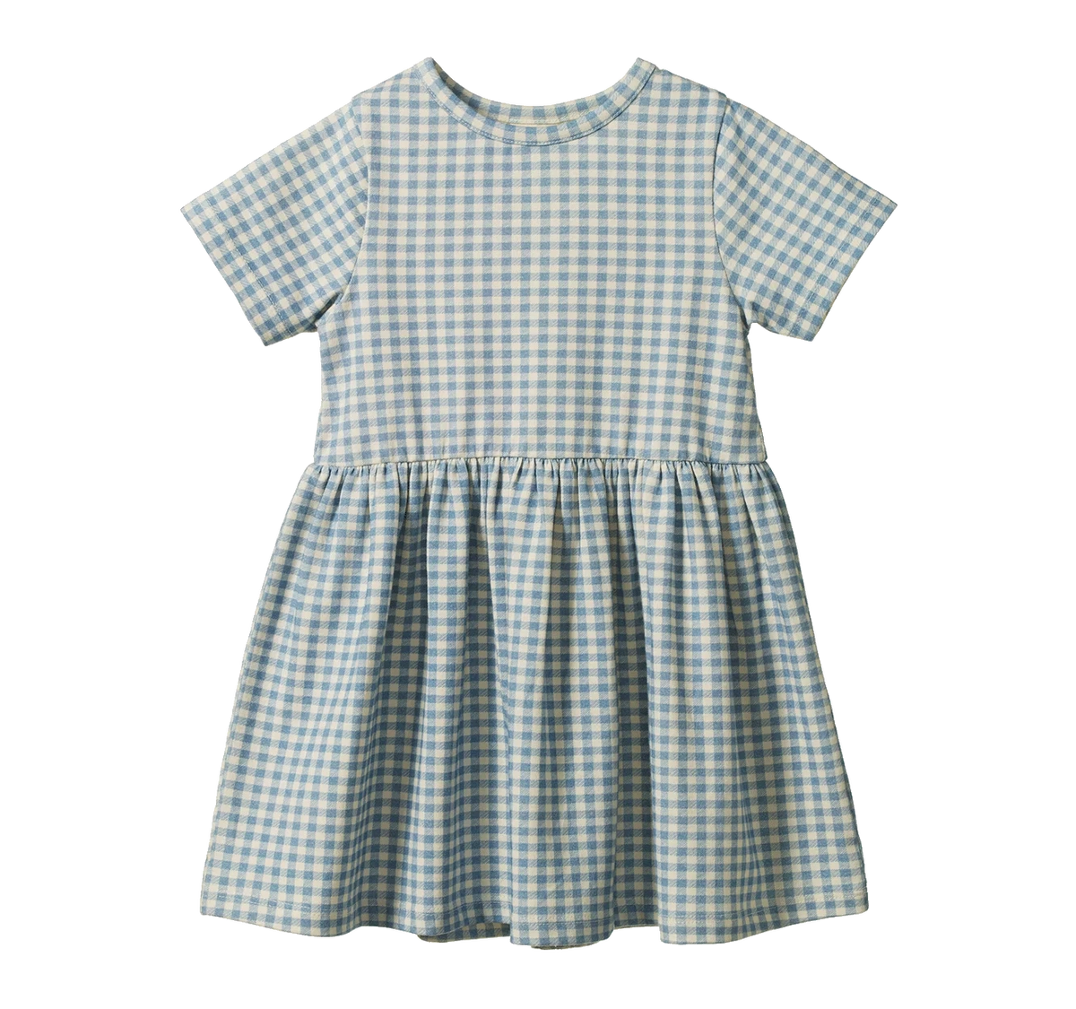 Saturday Dress - Blue Gingham