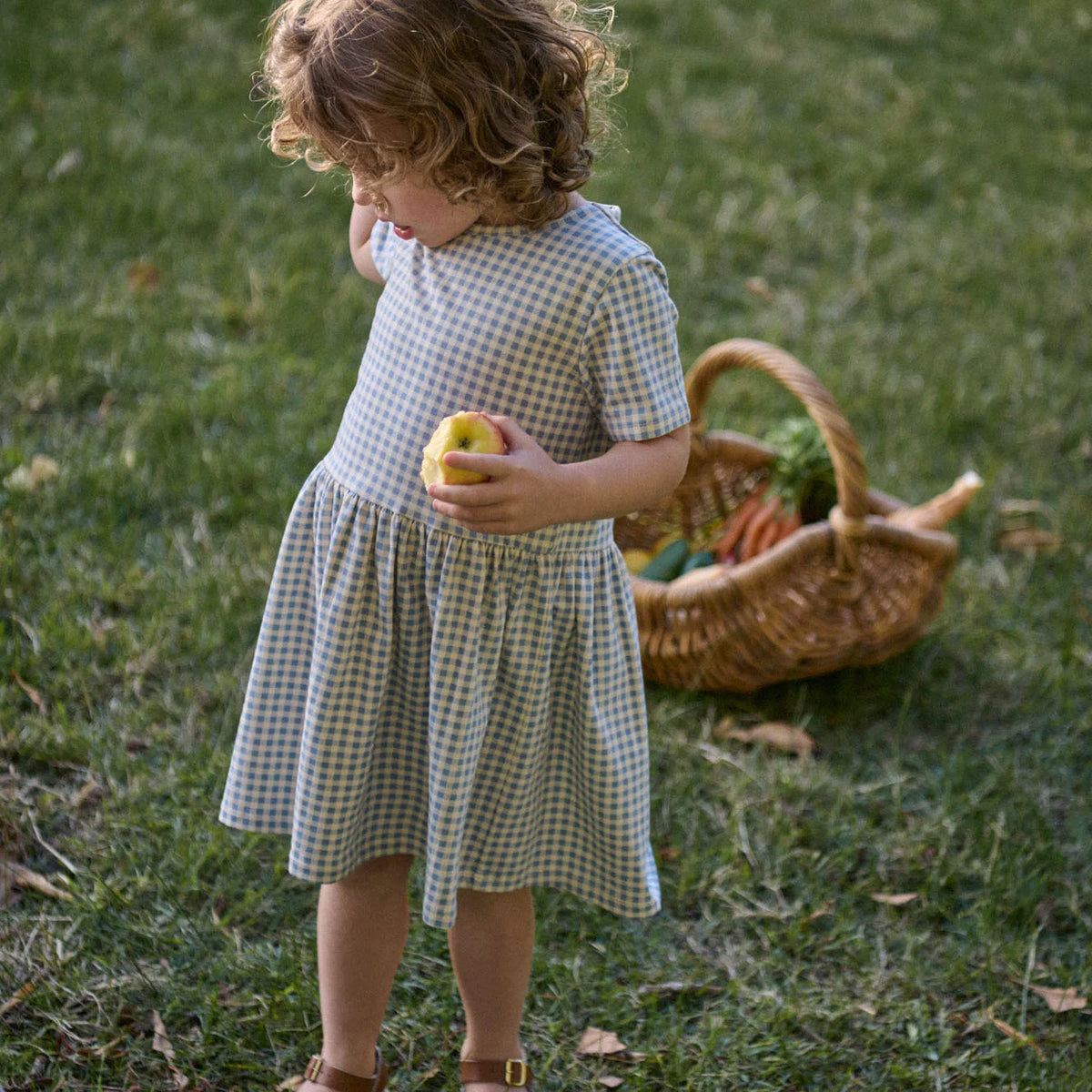 Saturday Dress - Blue Gingham