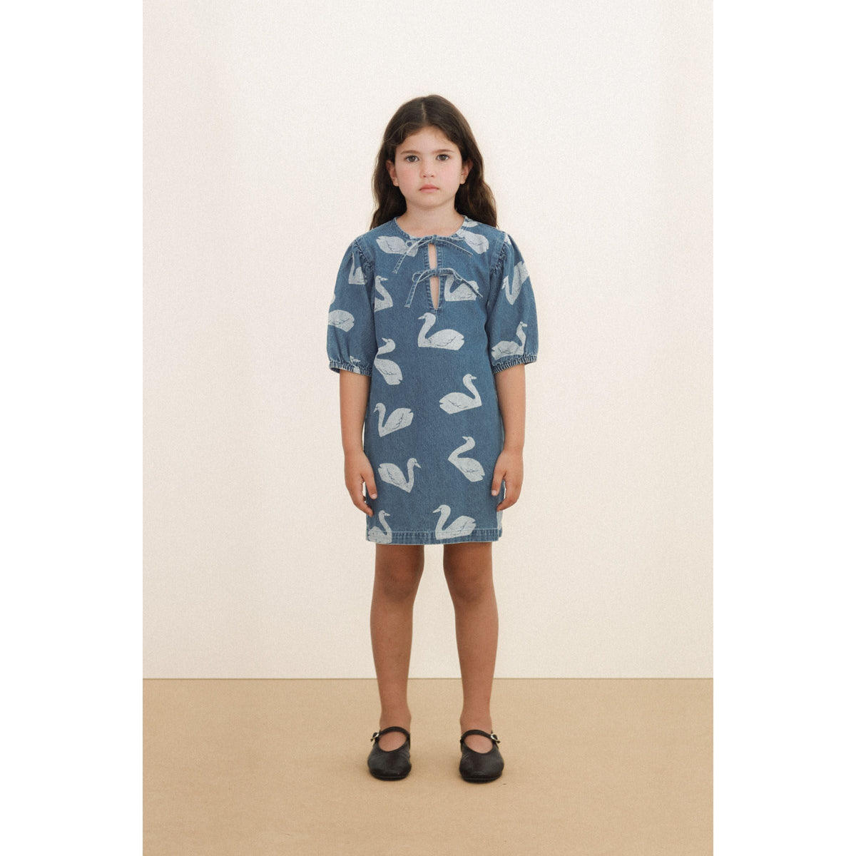 Big Swans Dress