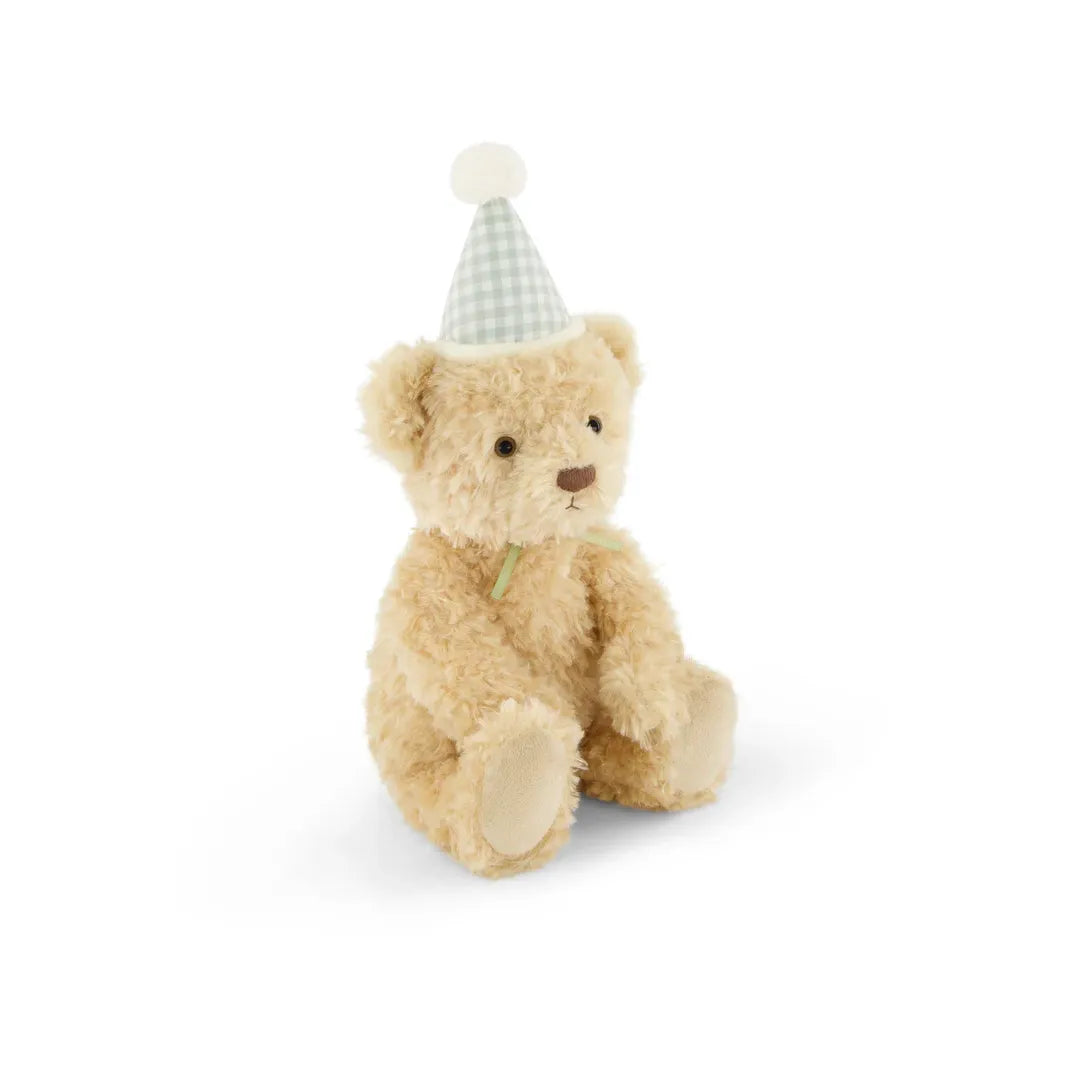 Snuggle Bunnies - Birthday Arthur - Gingham